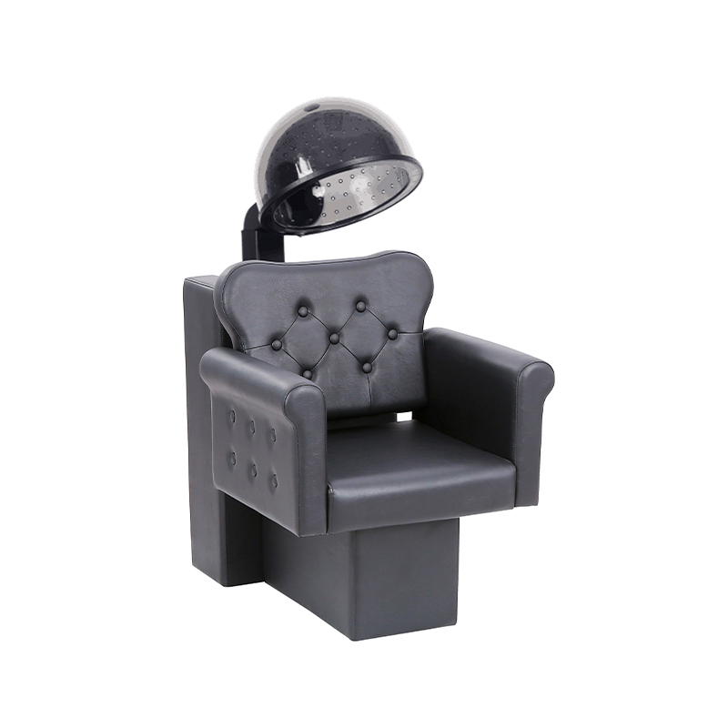 HZ9042 Professional salonhiustenkuivain ja -tuoliyhdistelmä